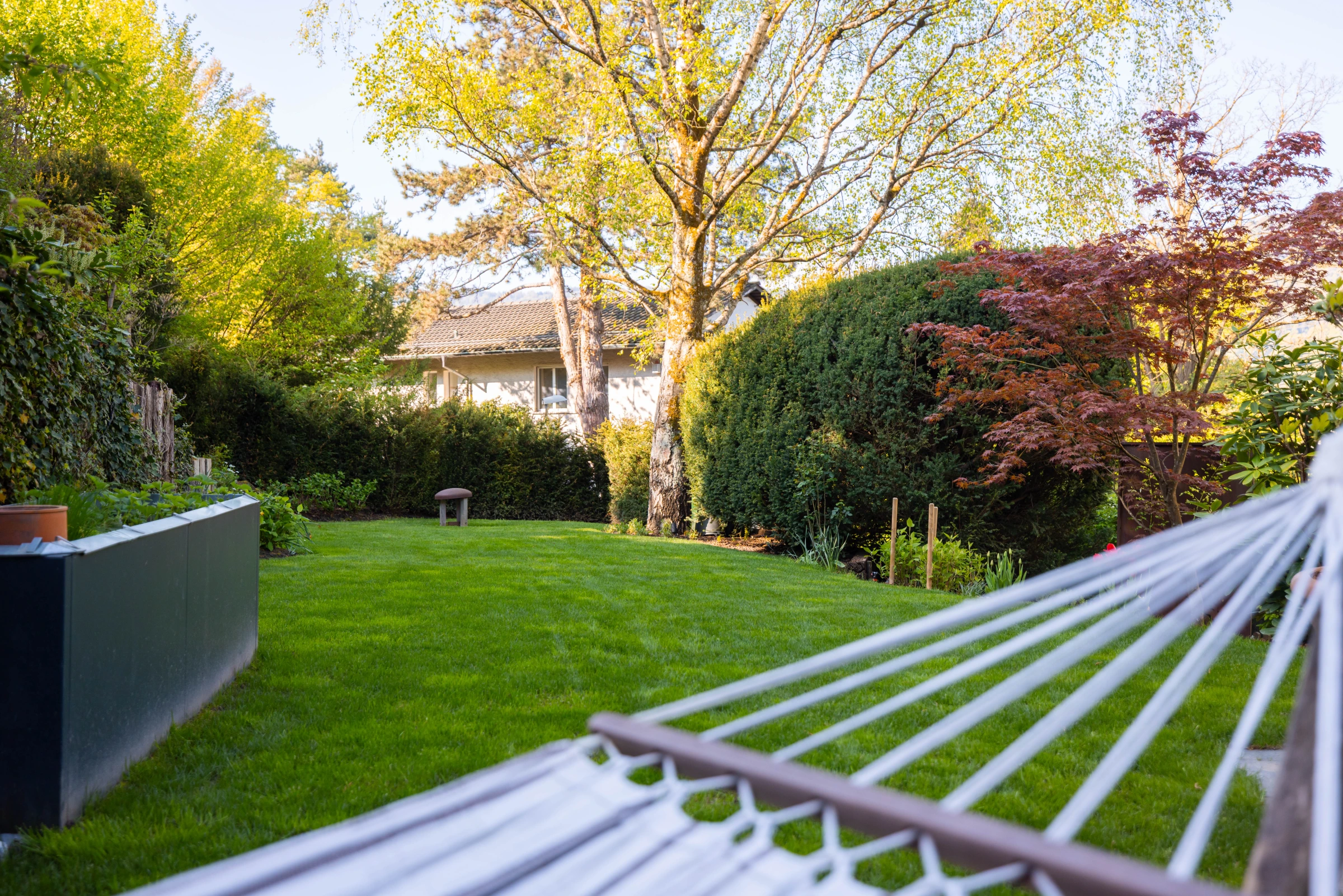 Premium-Garten von Gregory: Hängematte, satter Rasen, Cortenstahl und Roter Ahorn — Adliswiler Wohngarten