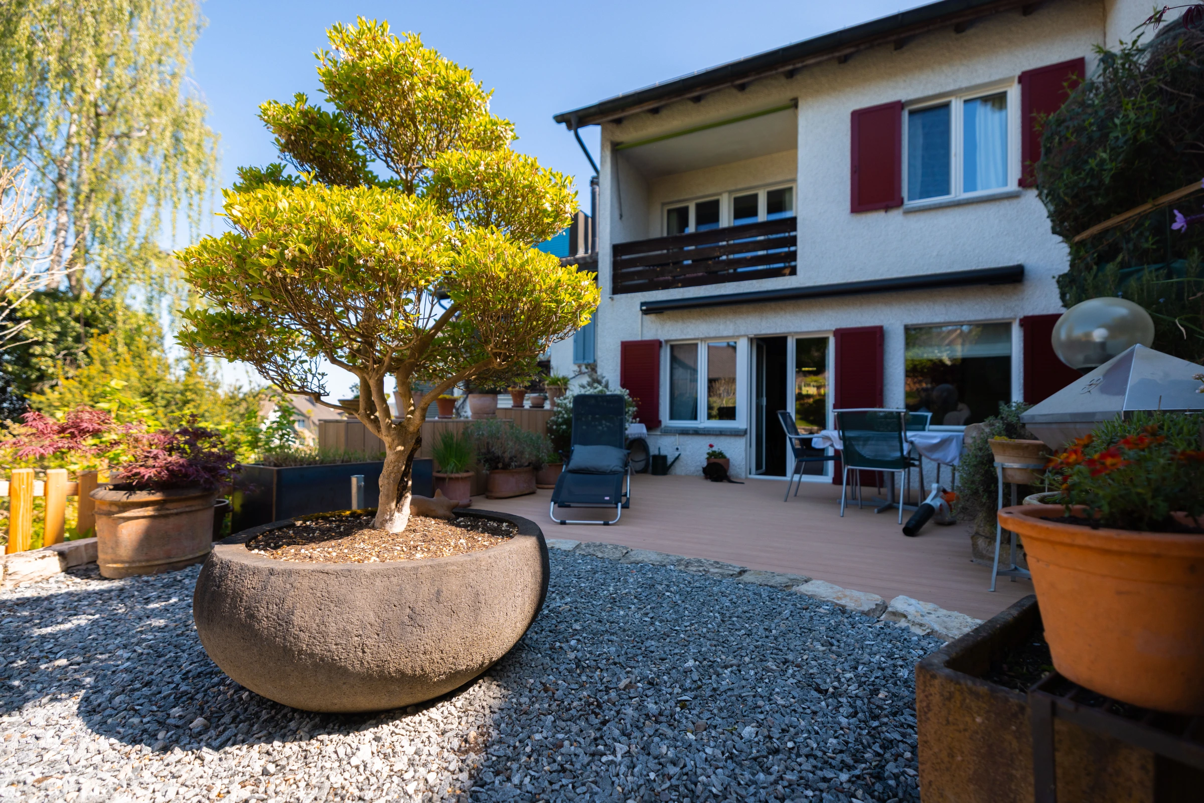 Bonsai-Skulptur in einer Steinschale