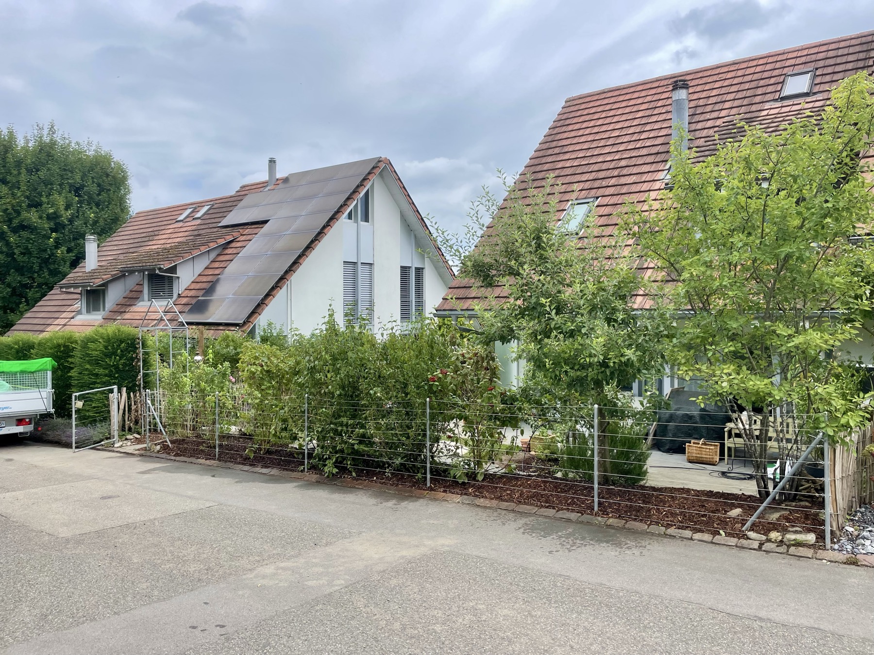 Vorgarten-Neupflanzung an zwei EFH mit junger Buchsbaum-Hecke und Stauden-Beet, professionelle Aufnahme